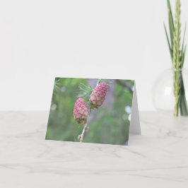 De Festividades Cartão Larch (Larix)