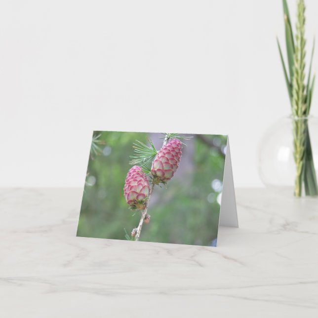 De Festividades Cartão Larch (Larix) (Frente)