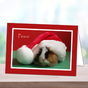 De Festividades Cartão legal da cobaia do Natal