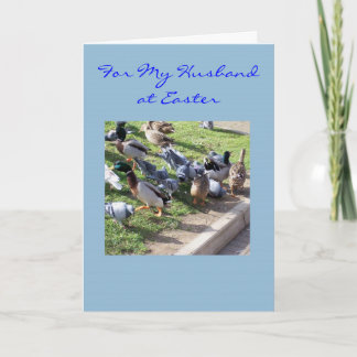 De Festividades Cartão Marido felz pascoa - Patos E Pombos