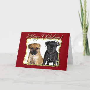 De Festividades Cartão Merry Christmas Staffordshire Bull terriers