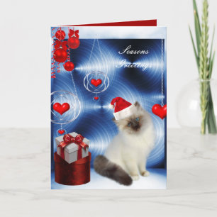 De Festividades Cartão Natal Fluffy Branco Cinza Gato