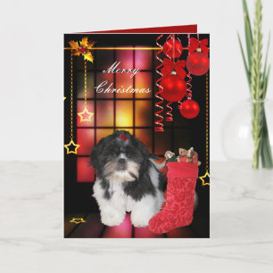 De Festividades Cartão Natal Xmas Cachorro Shitzu Cachorrinho