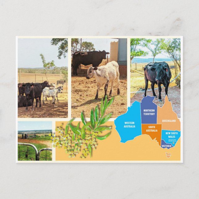 De Festividades Cartão postal Austrália (Frente)