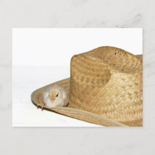De Festividades Cartão postal da Páscoa Ocidental do País