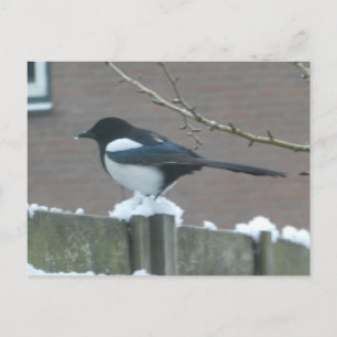 De Festividades Cartão Postal DIY Pérola na Neve