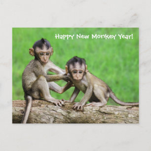 De Festividades Cartão Postal Do Macaco-Fogo