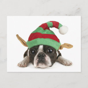 De Festividades Cartão postal Elf Engraçado