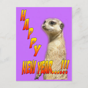 De Festividades Cartão postal Meerkat do feliz ano novo
