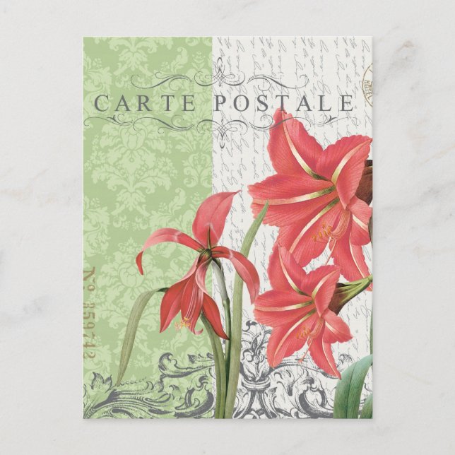De Festividades Cartão postal natais vintages-Amaryllis (Frente)