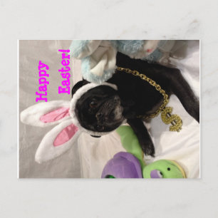 De Festividades Cartão postal páscoa Pug