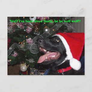 De Festividades Cartão postal Shepherd xmas