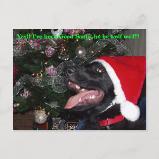 De Festividades Cartão postal Shepherd xmas