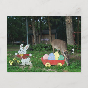 DE FESTIVIDADES CARTÃO POSTAL TINKERBELL #6 AJUDANDO O BUNNY ORIEN