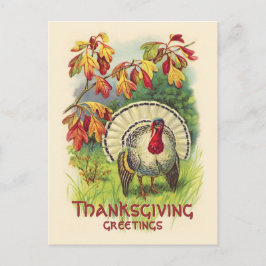 De Festividades Cartão postal Vintage Thankand Turkey