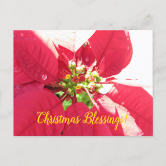 De Festividades Cartão postal Xmas 004 - Cartão postal