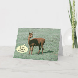 De Festividades Cartão - Saudação - Saudações Alpaca