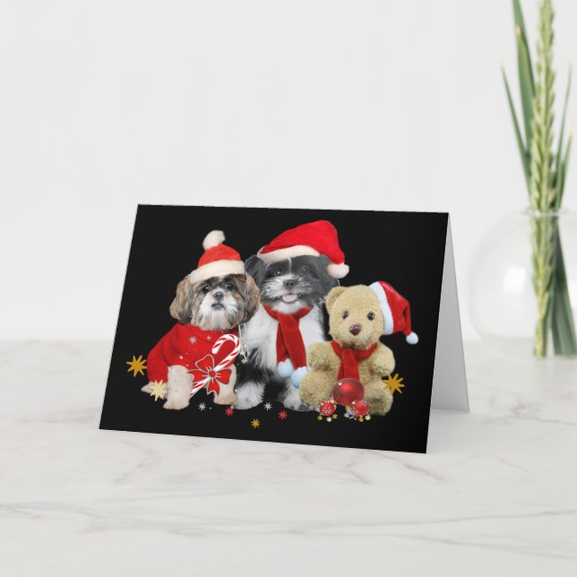 De Festividades Cartão Xmas Shih Tzu & Teddy Bear (Frente)