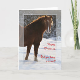 De Festividades Cavalo no cartão do Xmas da neve