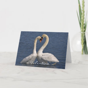 De Festividades Cisnes no cartão do amor - namorados