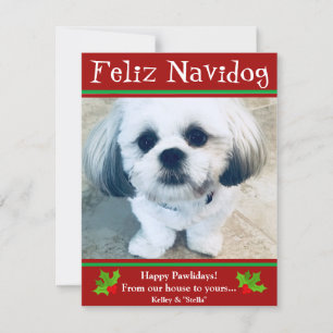 De Festividades Feliz Navidog Cachorro Cartão com fotos Engraçado