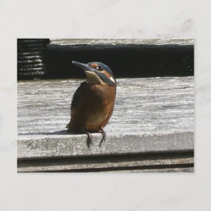 De Festividades Gestor Cortado Fechar Cartão Postal