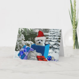 De Festividades Hermes o cartão maltês do Natal