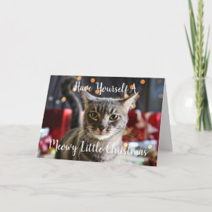 De Festividades Meowy pouco cartão do Natal