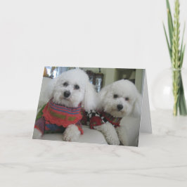 De Festividades "Narizes Frio, Corações Quentes" - Cartão Saudável