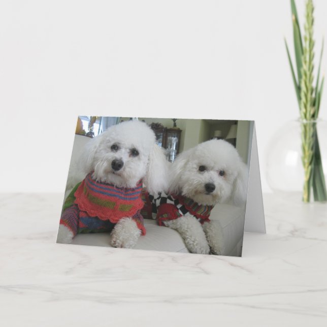 De Festividades "Narizes Frio, Corações Quentes" - Cartão Saudável (Frente)