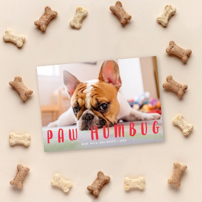 De Festividades Paw Humbug Engraçado Cachorro Feliz Cartão com fot (Criador carregado)