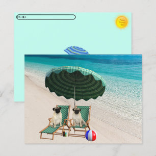 De Festividades Postcross - Pugs no Cartão Postal da Praia