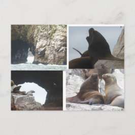 De Festividades Selos Colagem Peru Faça-Você-Mesmo Cartão Postal