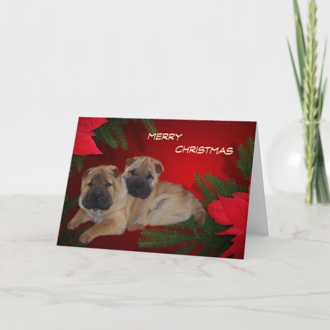 De Festividades Shar Pei Puppies Cartão Poinsettia (Frente)