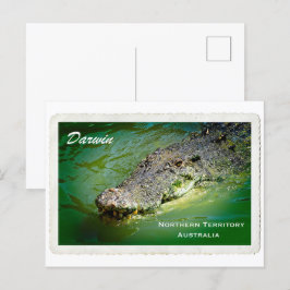 De Festividades Território Norte Darwin - Cartão postal Crocodilo
