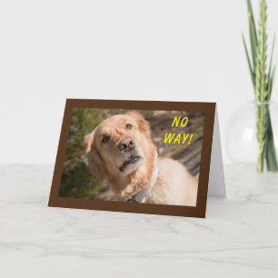 DE FORMA ALGUMA "VOCÊ" ESTÁ RODANDO **70** CARTÃO