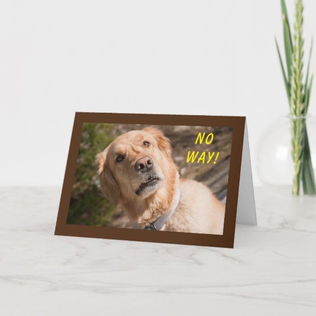 DE FORMA ALGUMA "VOCÊ" ESTÁ RODANDO **70** CARTÃO (Frente)