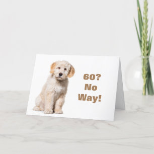 DE FORMA ALGUMA VOCÊ NÃO PODE SER **60** CARTÃO