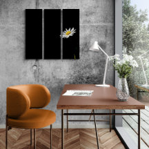 Dê-me uma margarida