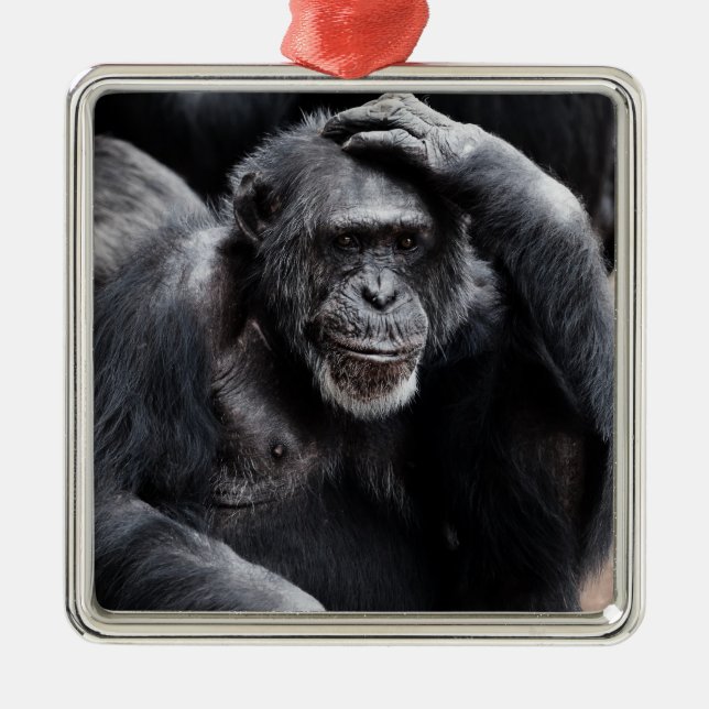 De Metal Antigo ornamento Chimpanzé (Frente)