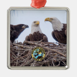 De Metal E9 & ornamento do feriado da família