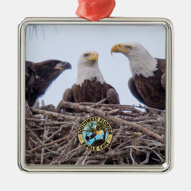 De Metal E9 & ornamento do feriado da família (Frente)