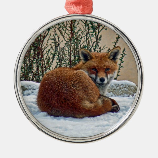 De Metal Fox no ornamento da neve (Frente)