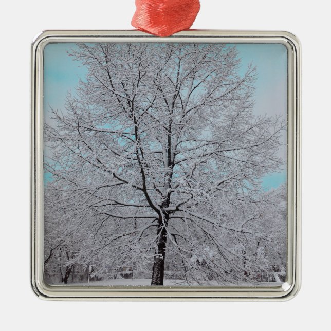 De Metal O ornamento do carvalho do inverno (Frente)