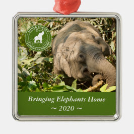 De Metal Ornamento ao quadrado NFEF