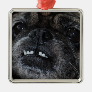 De Metal Ornamento branco perolado dos dentes dos Pugs
