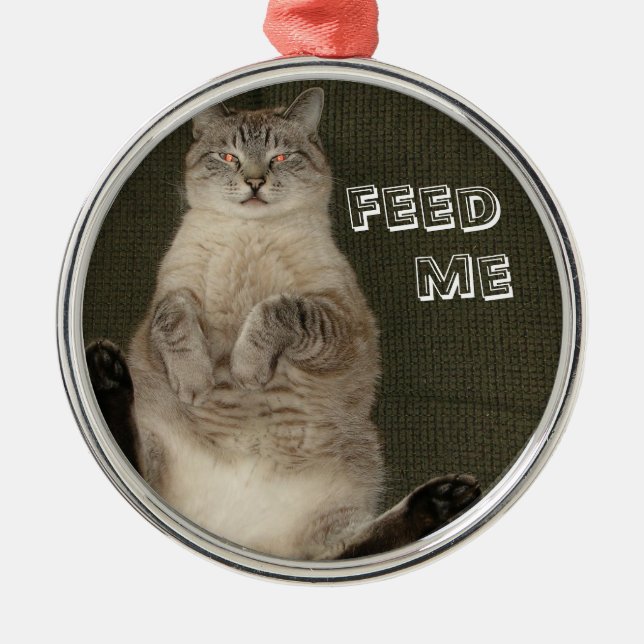 De Metal Ornamento Cat "FEED ME" (Frente)