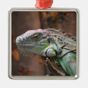 De Metal Ornamento com lagarto Iguana colorido