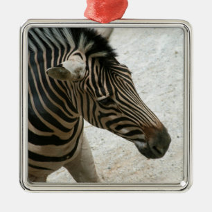 De Metal Ornamento da zebra
