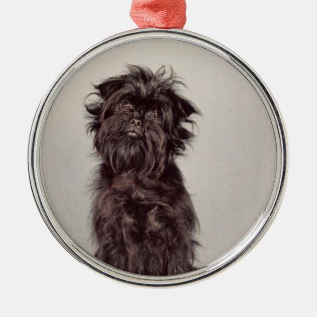De Metal Ornamento do Affenpinscher (Frente)